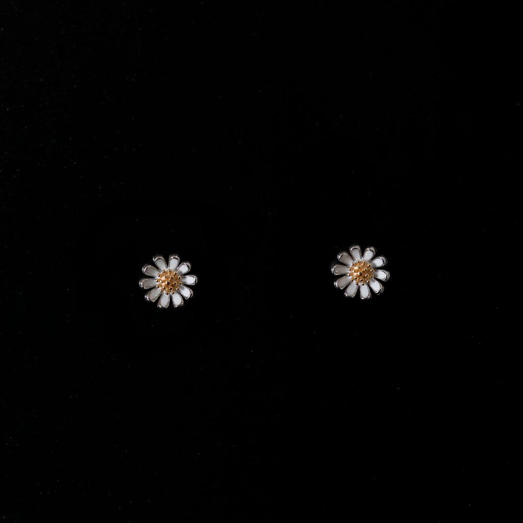 Daisy Studds-2